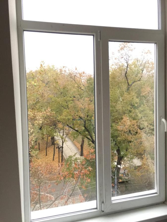 Central Park Accommodation คีชีเนา ภายนอก รูปภาพ